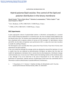 Hybrid polymer/lipid vesicles