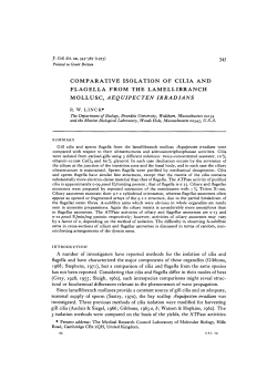 comparative isolation of cilia and flagella from the lamellibranch