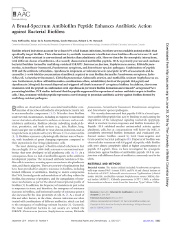 A Broad-Spectrum Antibiofilm Peptide Enhances Antibiotic Action