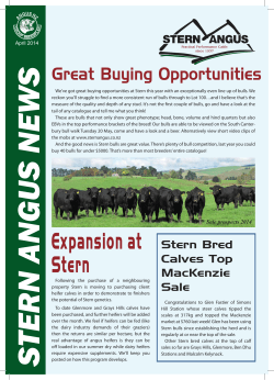 Expansion at Stern