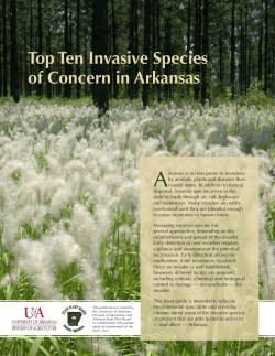 Top Ten Invasive Species of Concern in Arkansas