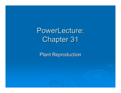PowerLecture: Chapter 31