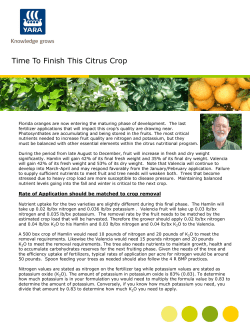 Time To Finish This Citrus Crop