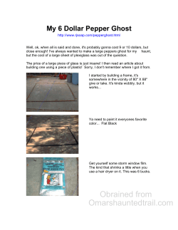 My 6 Dollar Pepper Ghost