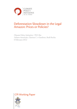 Deforestation Slowdown in the Legal Amazon: Prices or Policies?