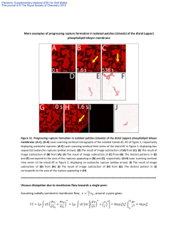 More examples of progressing rupture formation in isolated patches
