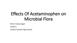 Effects Of Acetaminophen on Microbial Flora