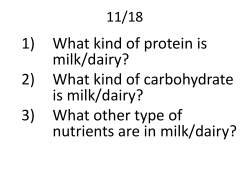 1) What kind of protein is milk/dairy?