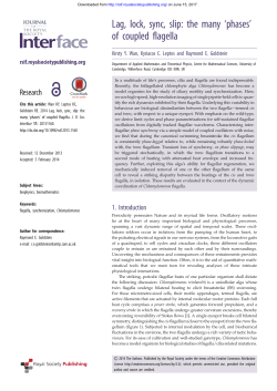 Lag, lock, sync, slip: the many `phases` of coupled flagella