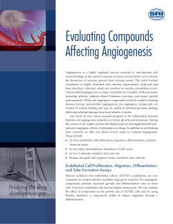 Evaluating Compounds Affecting Angiogenesis
