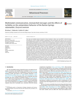 Multimodal communication, mismatched messages and the effects
