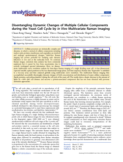 Disentangling Dynamic Changes of Multiple Cellular Components