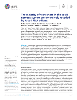 The majority of transcripts in the squid nervous system are
