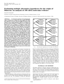 Evaluating multiple alternative hypotheses for