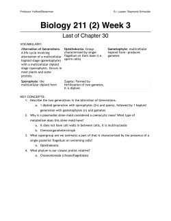 Biol 211 (2) Chapter 30/31 KEY
