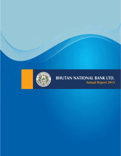 2013 BNB Annual Report 2646 Kb
