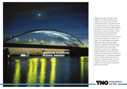 Showcases - TNO Annual Report 2013