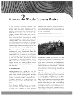 Handout 2 &ndash; Woody Biomass Basics