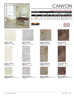 canyon - Sarana Tile