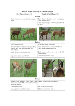 A4 printable version