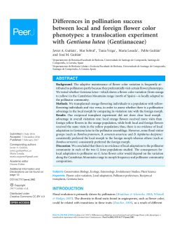 Differences in pollination success between local and foreign