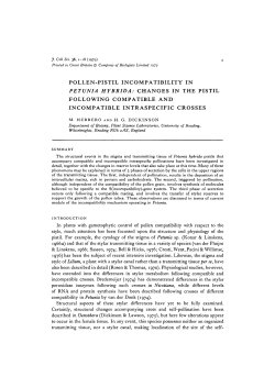 pollen-pistil incompatibility in petunia hybrid a: changes in the pistil