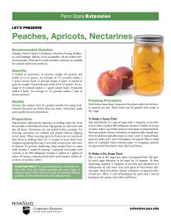 Peaches, Apricots, Nectarines