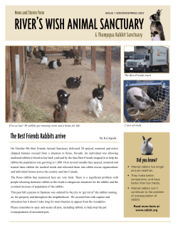 File - River`s Wish Animal Sanctuary
