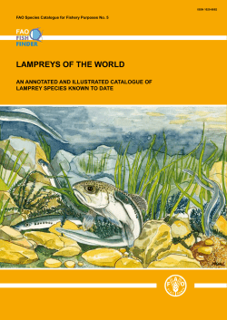 LAMPREYS OF THE WORLD - Food and Agriculture Organization of