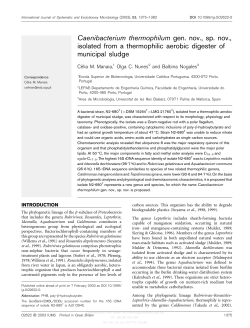 Caenibacterium thermophilum gen. nov., sp. nov., isolated from a