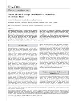 Stem Cells and Cartilage Development