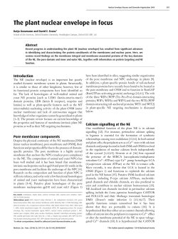 The plant nuclear envelope in focus