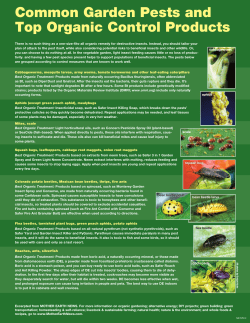 Common Garden Pests and Top Organic Control Products