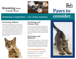 Paw Project Brochure