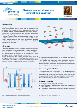 Membranes for phosphate removal and recovery