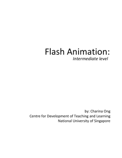 Flash Animation
