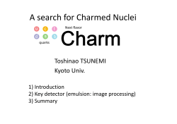 A search for Charmed Nuclei A search for Charmed Nuclei