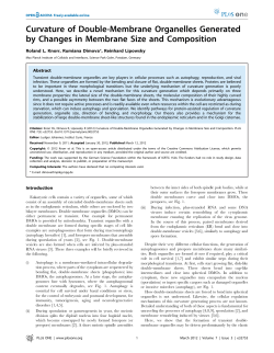 Curvature of Double-Membrane Organelles Generated by Changes