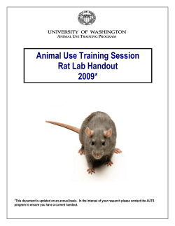 Rat Lab Handout 2009 - UW Departments Web Server