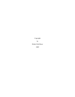 BRUCE-DISSERTATION - The University of Texas at Austin