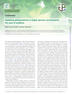 Modelling photosynthesis in highly dynamic environments: the case