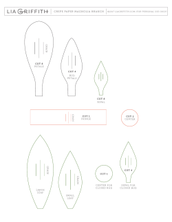 CREPE PAPER MAGNOLIA BRANCH