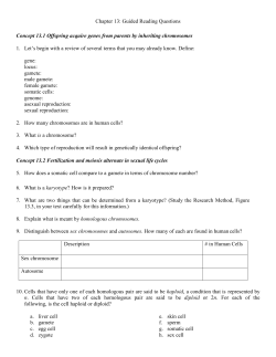 Meiosis Questions