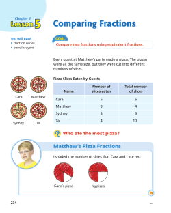 Matthew`s Pizza Fractions