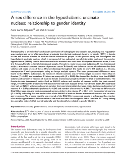 A sex difference in the hypothalamic uncinate nucleus: relationship