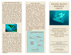 PMRG Brochure July 2015, Matilda`s fonts.pages