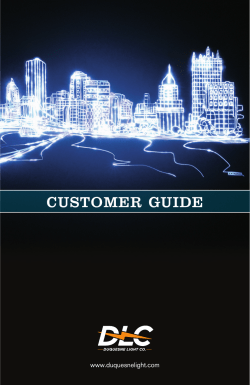 Customer Guide - Duquesne Light