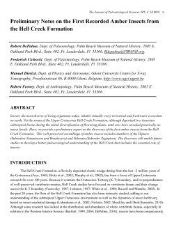 Preliminary Notes on the First Recorded Amber Insects from the Hell