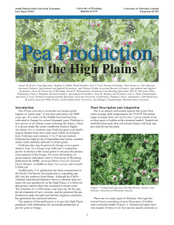 Pea Production in the High Plains
