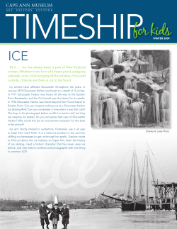 Ice - Cape Ann Museum